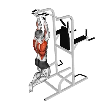 Supinated Narrow Grip Pull Up