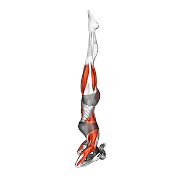 Supported Headstand Yoga Pose Sirsasan