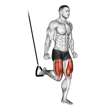 Best Trx Workouts Suspended Split Squat