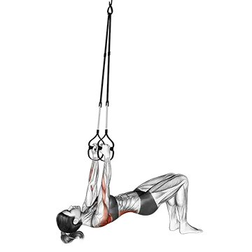 Suspender Bent Knee Inverted Row