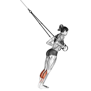 Suspender Calf Raise
