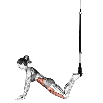 Suspender Front Plank