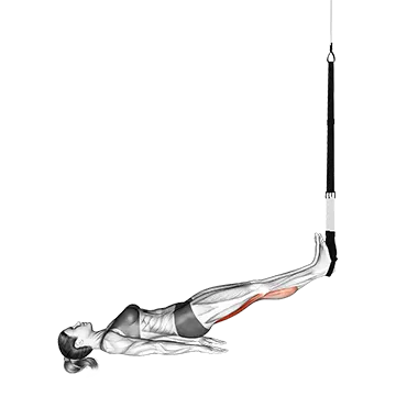 Best Trx Core Workouts Suspension Trainer Hamstring Runner