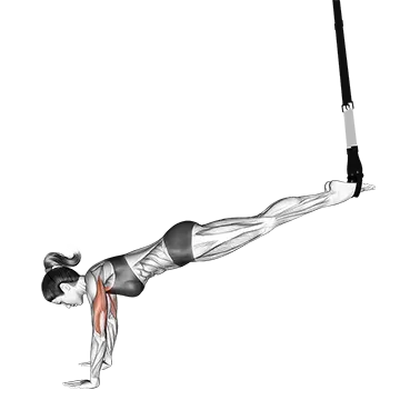 Best Trx Chest Workouts Suspender Incline PushUp