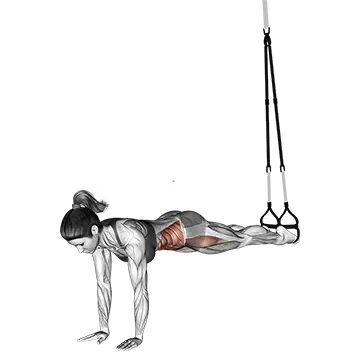 Suspender Jack Knife Pike