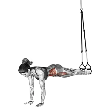 Best Trx Core Workouts Suspension Trainer Jack Knife