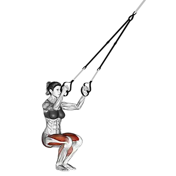 Suspender Jump Squat