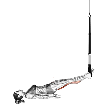 Best Trx Leg Workouts Suspender Leg Curl