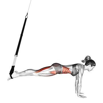 Suspender Mountain Climber