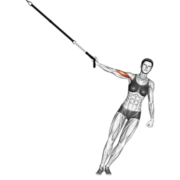 Suspender One Arm Biceps Curl