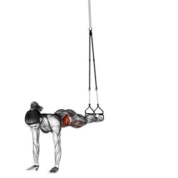 Best Trx Ab Workouts Suspender Pendulum