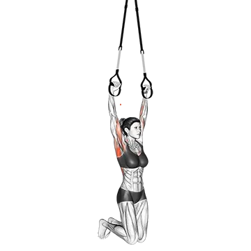 Suspender Pull Up