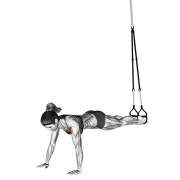 Best Trx Chest Workouts Suspender Push Up