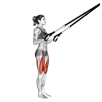 Suspender Rear Lunge