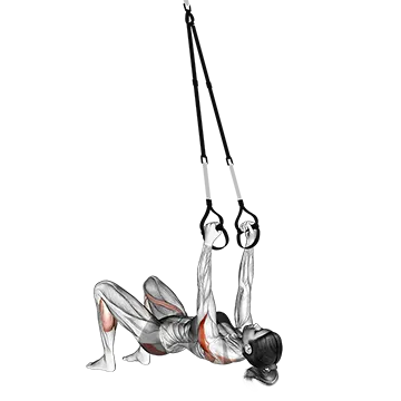 Suspender Reverse Fly Wake Up