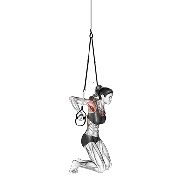 Suspender Self Assisted Chest Dip