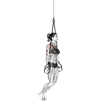 Suspender Self Assisted Triceps Dip
