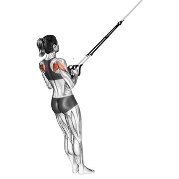 Suspender Shoulder External Rotation