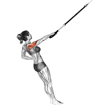 Suspender Single Arm Rear Delt Row