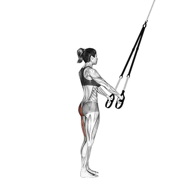 Best Trx Leg Workouts Suspender Single Leg Deadlift