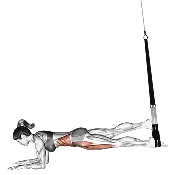 Best Trx Leg Workouts Suspender Single Leg Plank