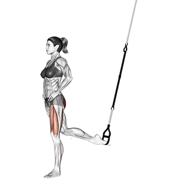 Best Trx Leg Workouts Suspender Single Leg Split Squat