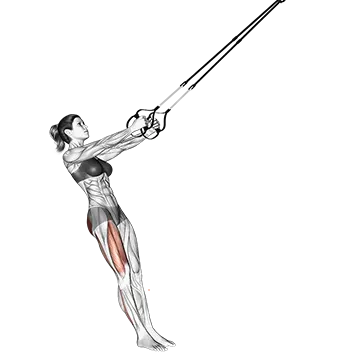 Suspender Single Leg Squat