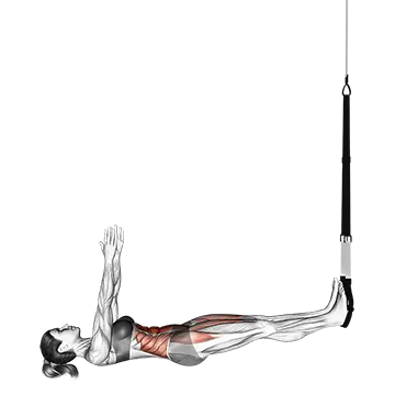 Best Trx Ab Workouts Suspender SitUp