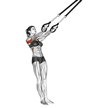 Suspender Split Fly