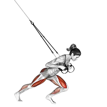 Suspender Sprinter