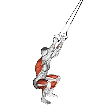 Suspender Squat Jump