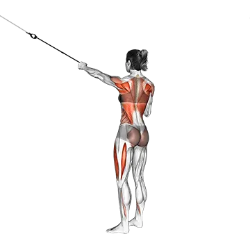 Suspender Squat Power Pull