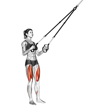 Suspender Squat