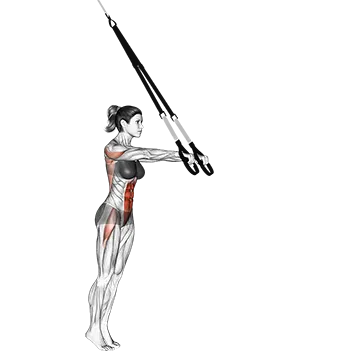 Best Ab Roller Workouts Suspender Standing Ab Rollout