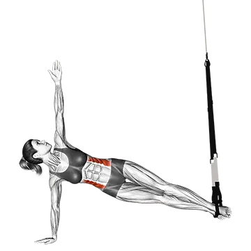 Suspender Star Plank