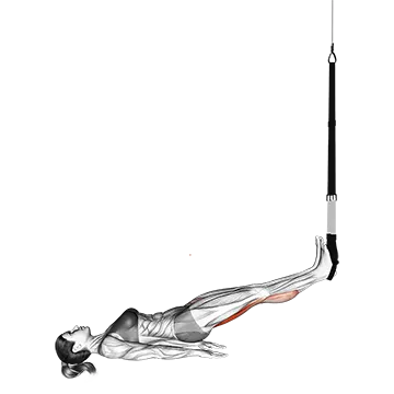Best Trx Leg Workouts Suspender Straight Hip Leg Curl