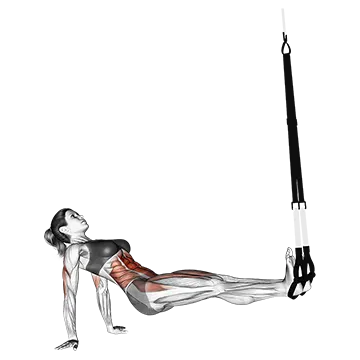 Suspender Supine Crunch