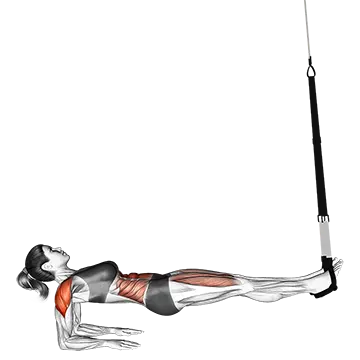 Suspender Supine Plank