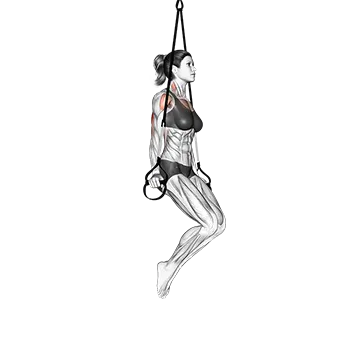 Suspender Triceps Dip