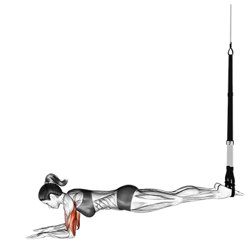 Suspender Triceps Extension Push Up