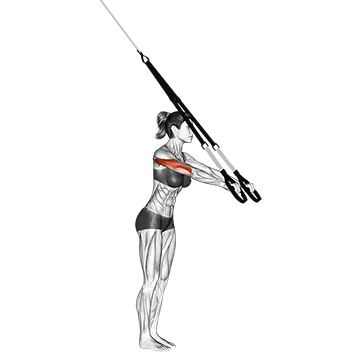 Best Trx Arm Workouts Suspender Triceps Extension