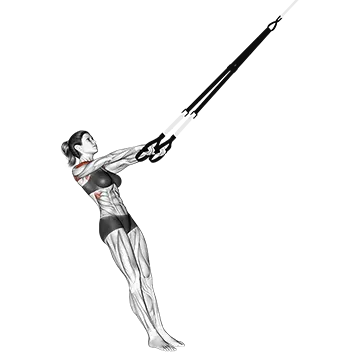 Best Trx Shoulder Workouts Suspender Y Lateral Raise