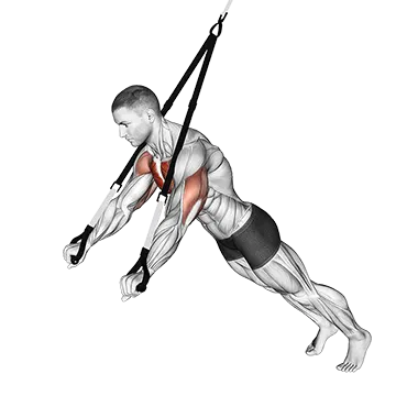 Best Trx Workouts Suspension Chest Press