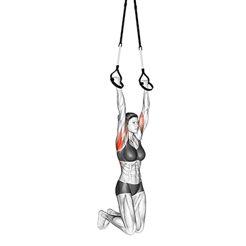 Best Trx Workouts Suspension Chin Up