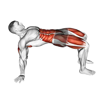 Table Top Bridge Rotation