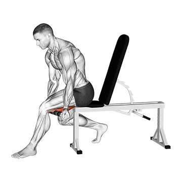 Best Hamstring Stretches Tiger Tail Hamstring
