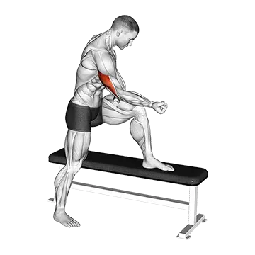 Tiger Tail Tricep