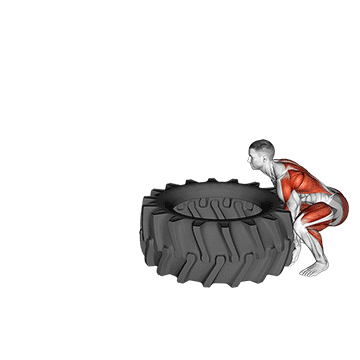 Best Mma Workouts Tire Flip