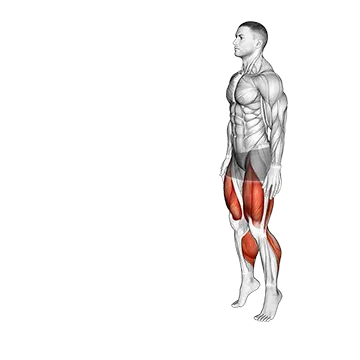 Best Gastrocnemius Exercises Toe Walk