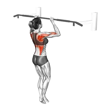 How To Do A Pull Up Top PullUp Hold